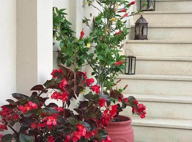 Apartamento Kostas *