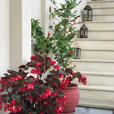 Appartement Kostas *